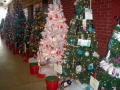 Festival of Trees