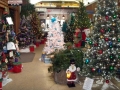 Festival of Trees