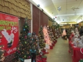 Festival of Trees