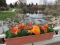 Fall planter on Business Loop bridge