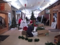 Festival of Trees Set Up