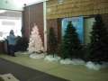 Festival of Trees Set Up