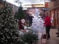 Festival of Trees Set Up