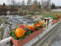 Fall planter on Business Loop bridge