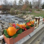 Fall planters